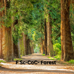 F Sc+CoC-+Forest