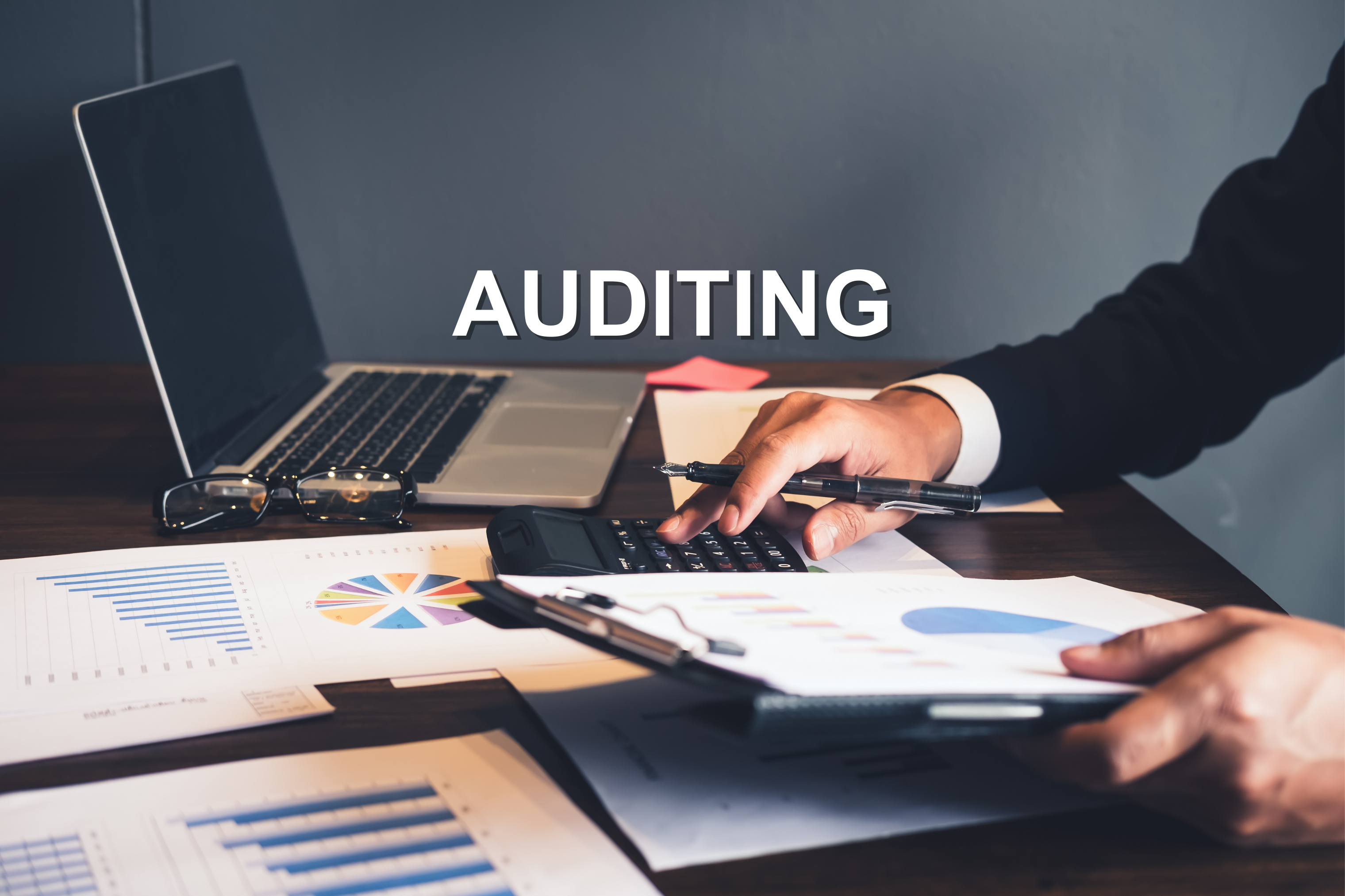 AUDITING & ASSESSMENT SERVICES